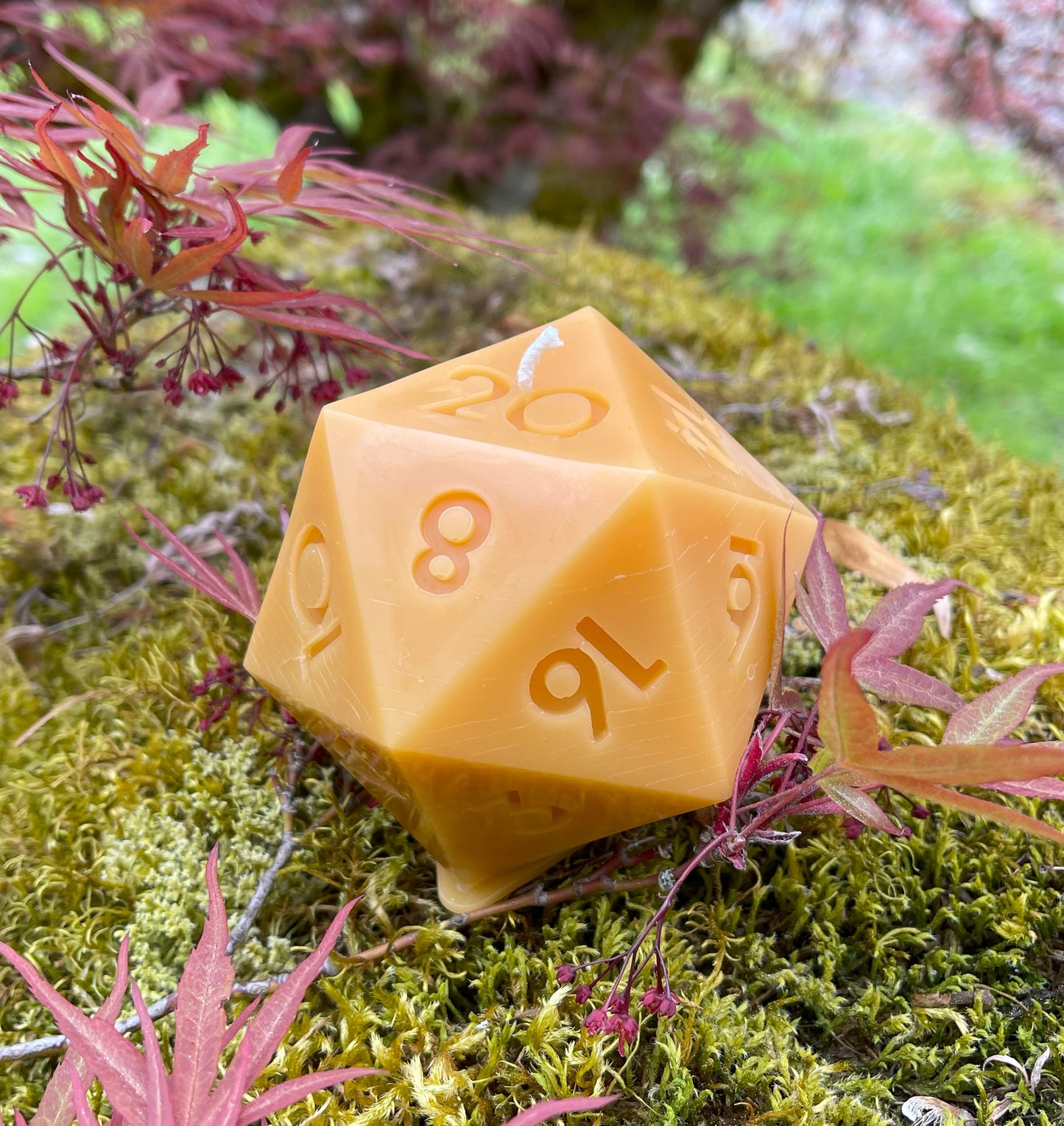 D20 Candle