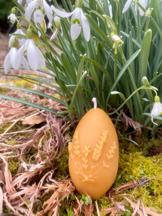 Lavender Egg Candle