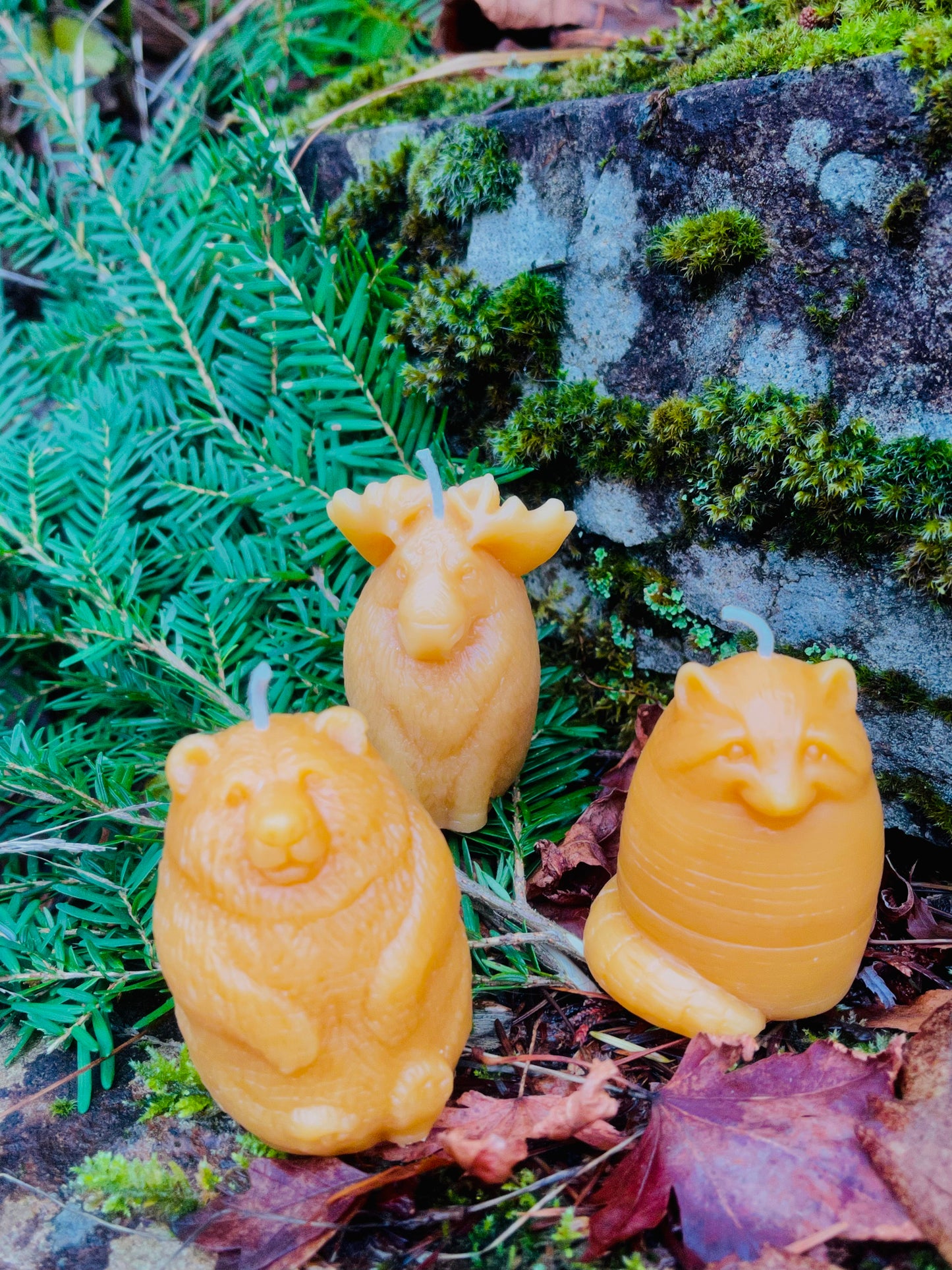 Critter Candle Trio