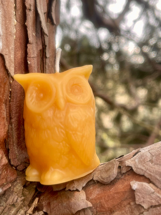 Owl Candle