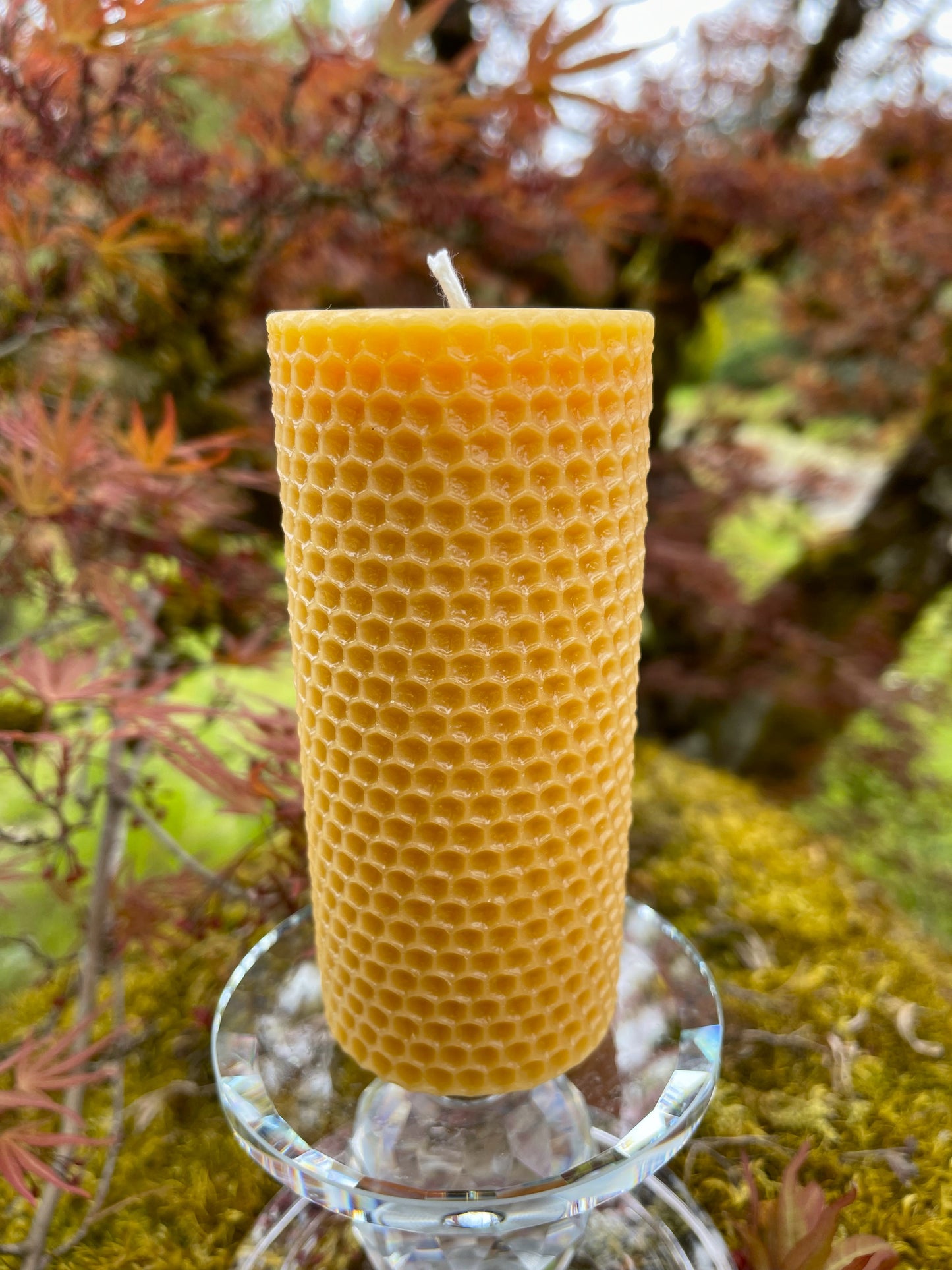 Honeycomb Pillar