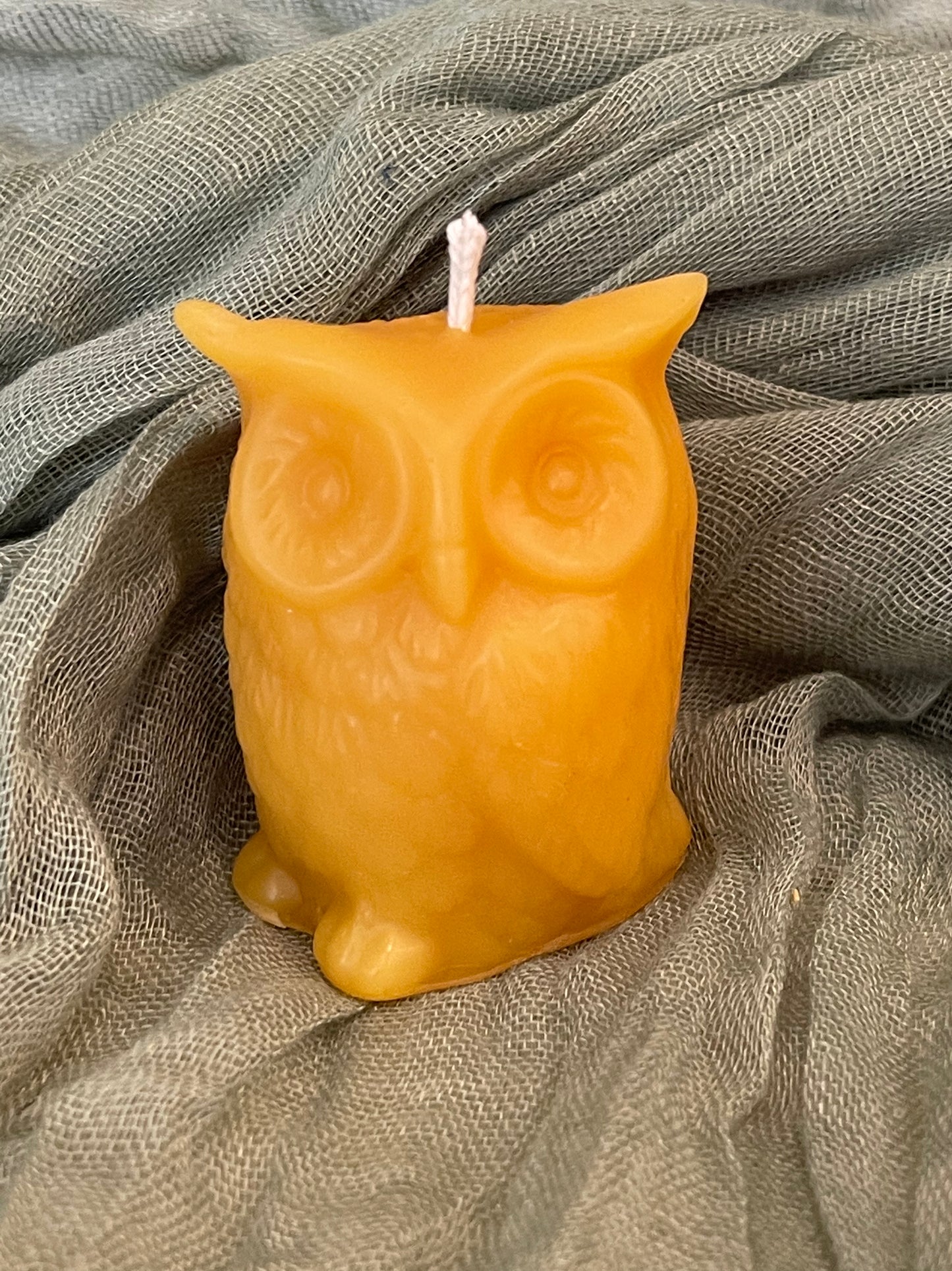 Owl Candle