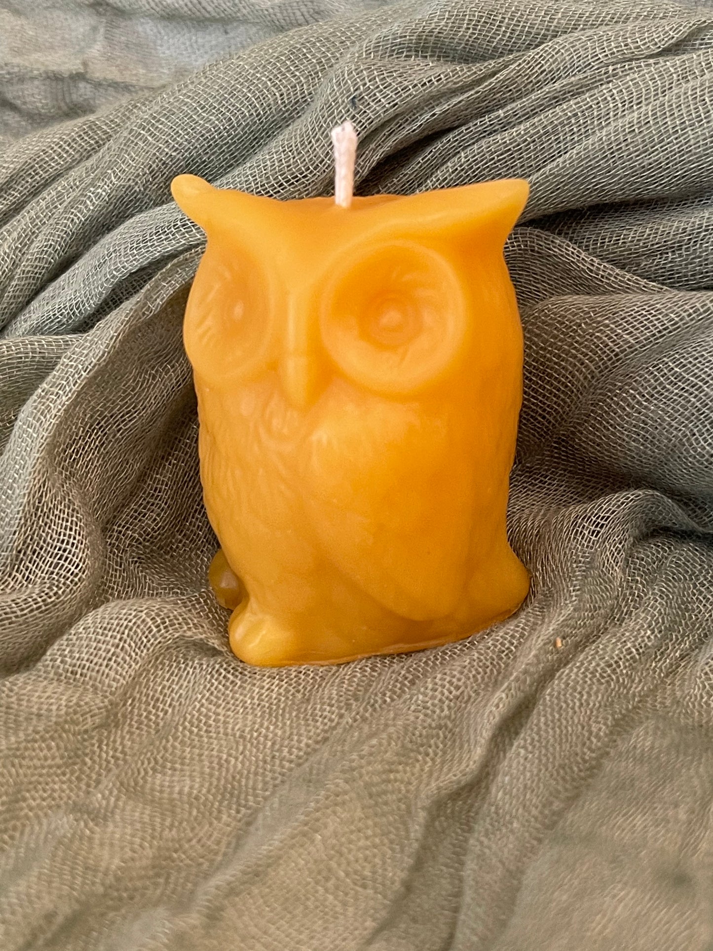 Owl Candle