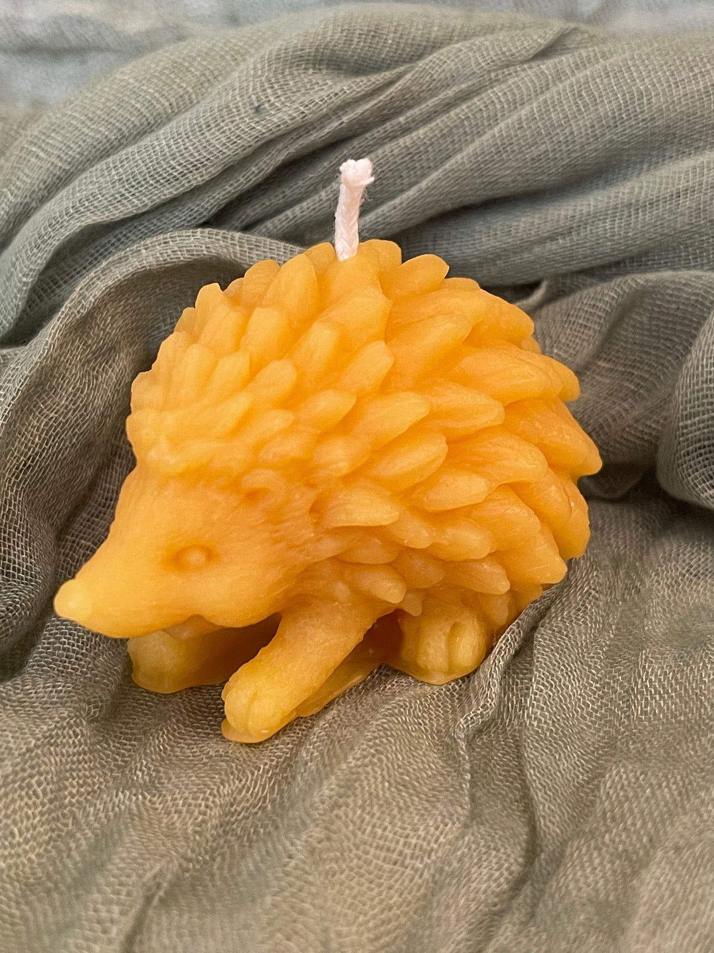 Hedgehog Candle