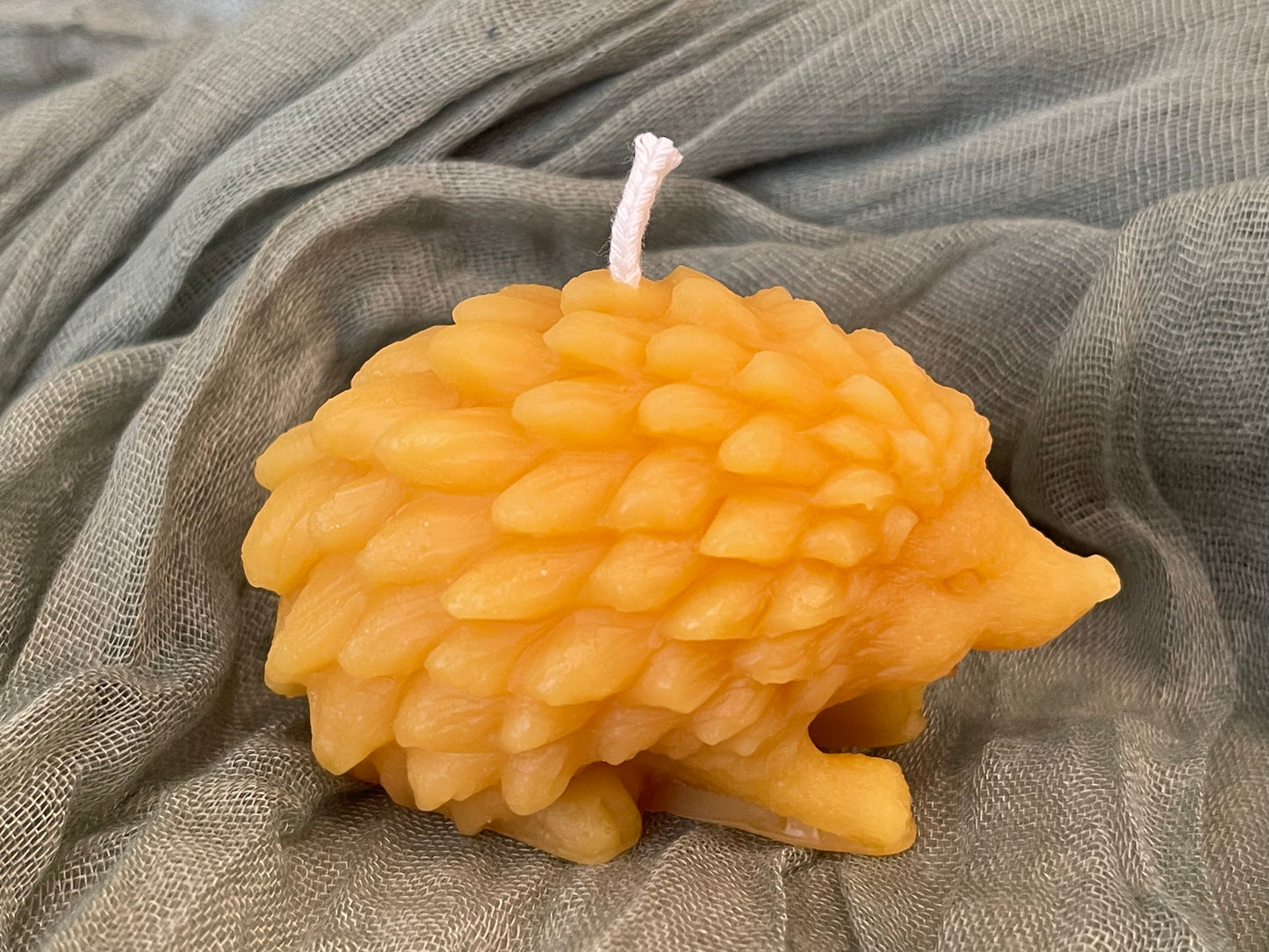 Hedgehog Candle