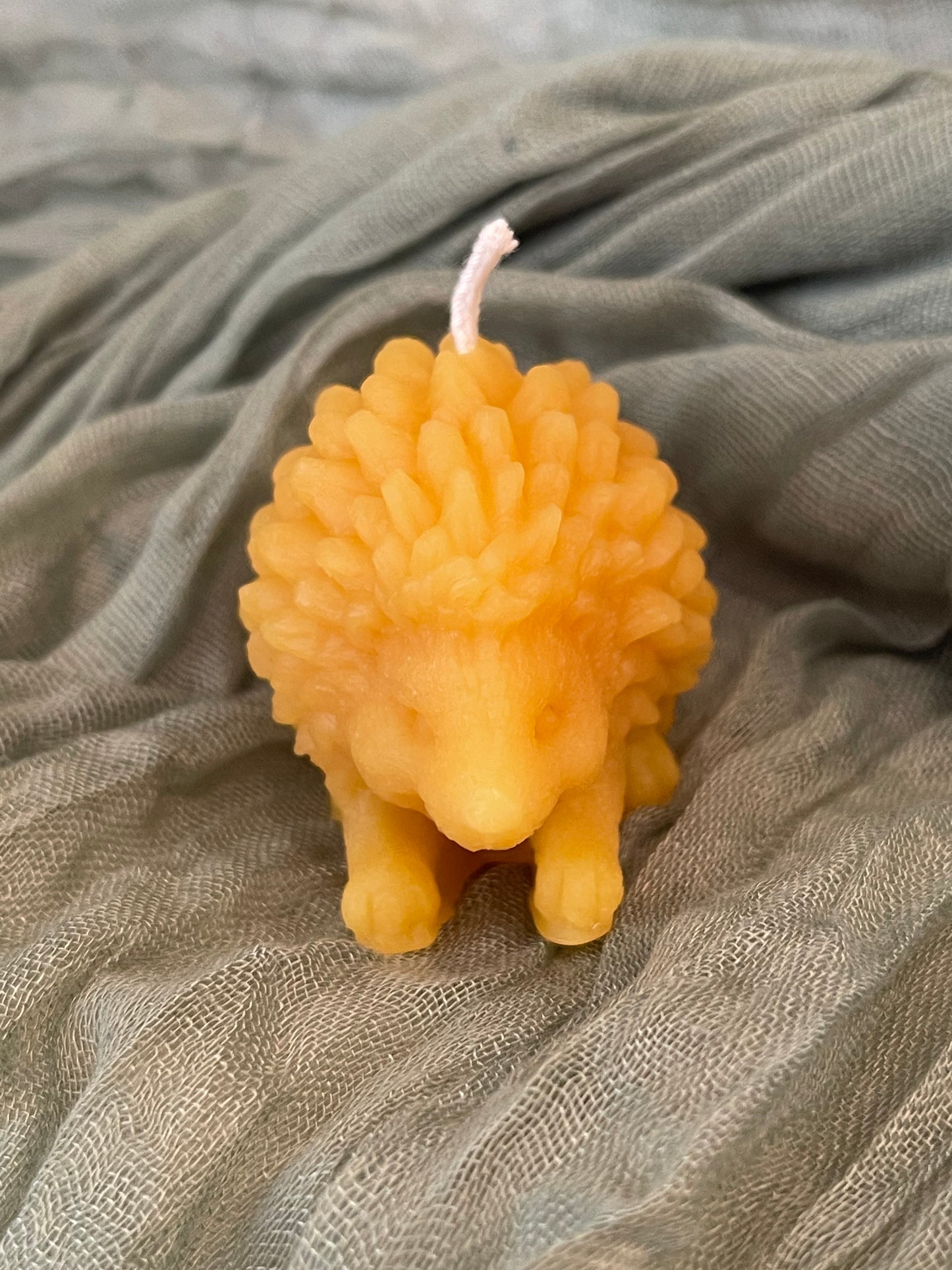 Hedgehog Candle