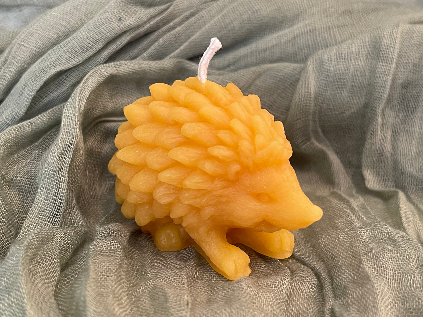 Hedgehog Candle