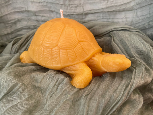 Turtle Candle