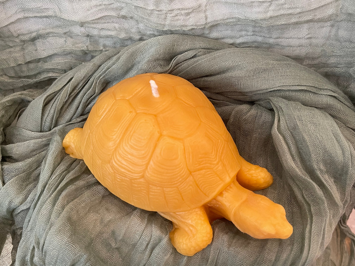 Turtle Candle