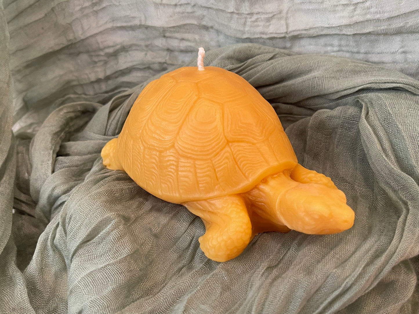 Turtle Candle