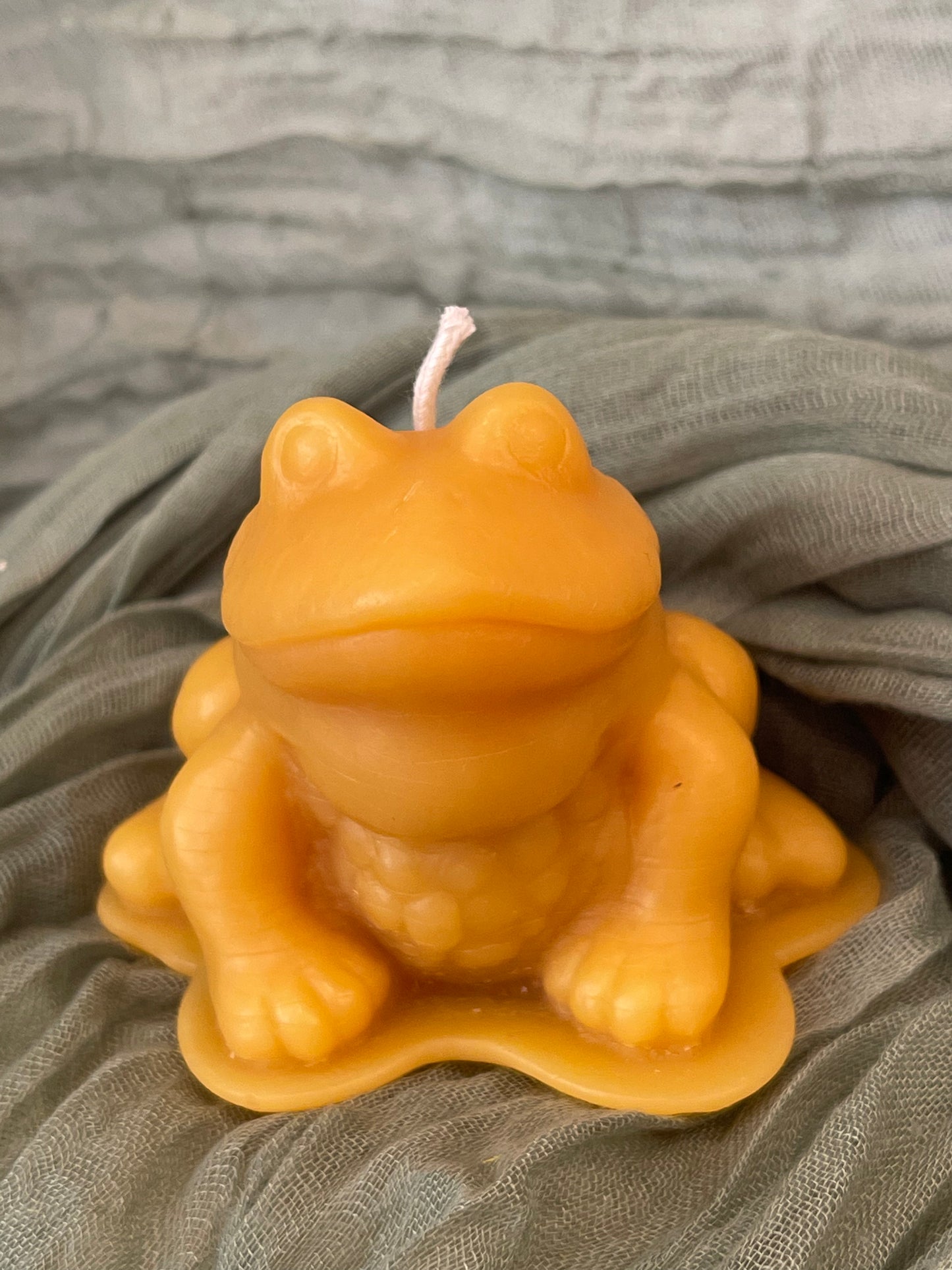 Frog Candle