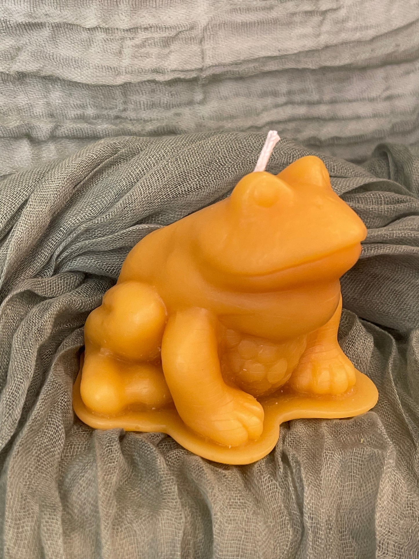 Frog Candle