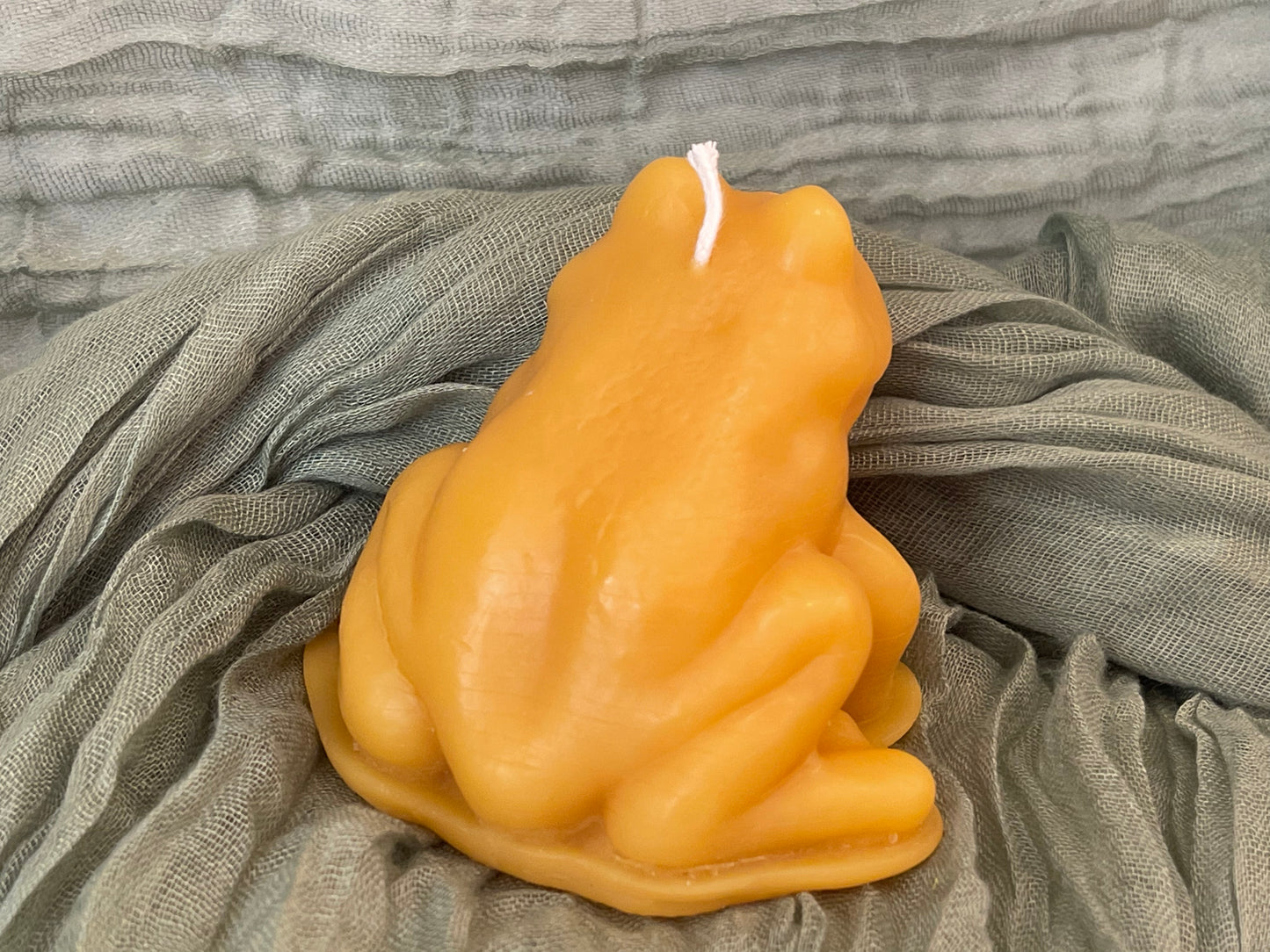 Frog Candle