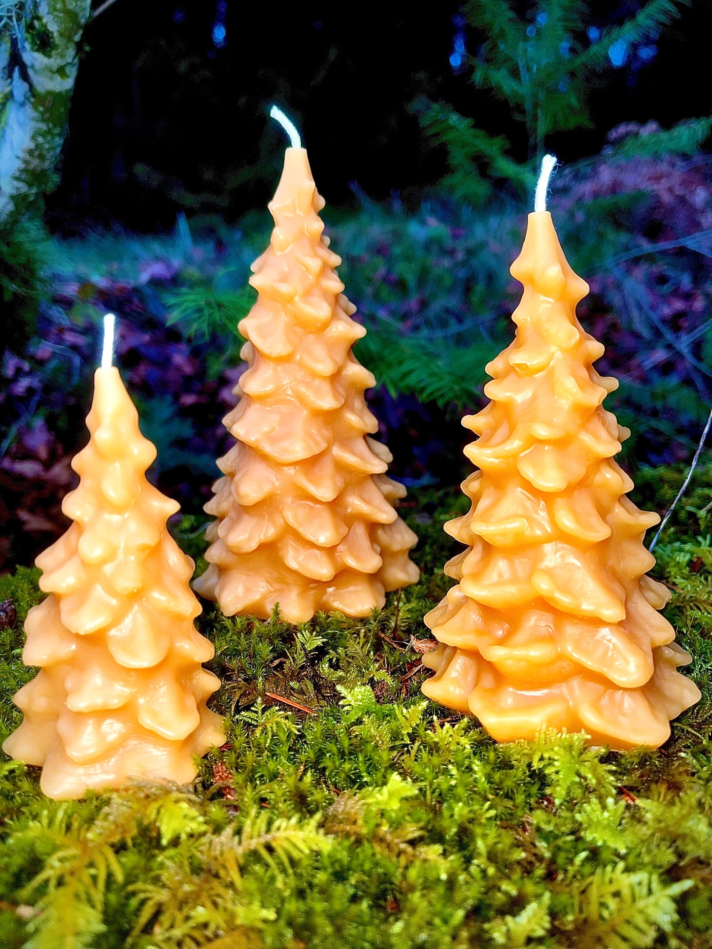 Trio of Trees Candles